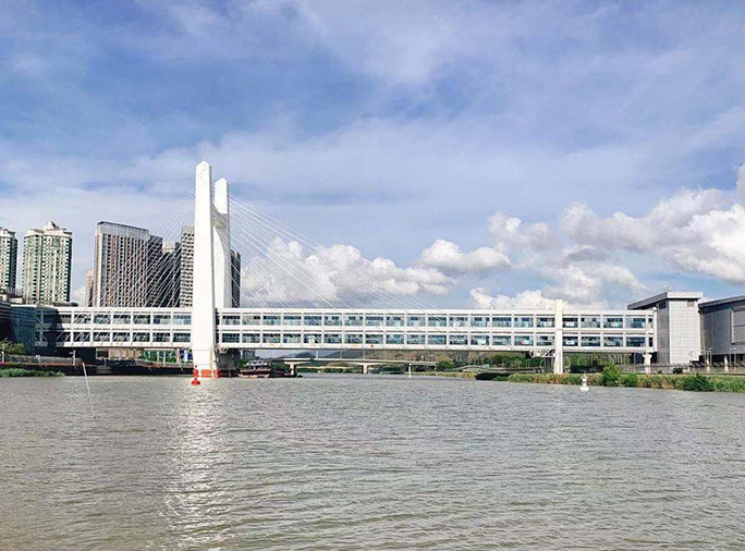 深圳福田-落马洲通道桥J3主塔维修工程